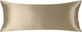 ZIMASILK 100% Pure Mulberry Silk Pillow Cases for Hair and Skin, Soft, Hypoallergenic & Smooth, Both Sides Grade 6A Silk, with Hidden Zipper, Gift for Women Men, 1pc (Body 20"x54", Taupe)