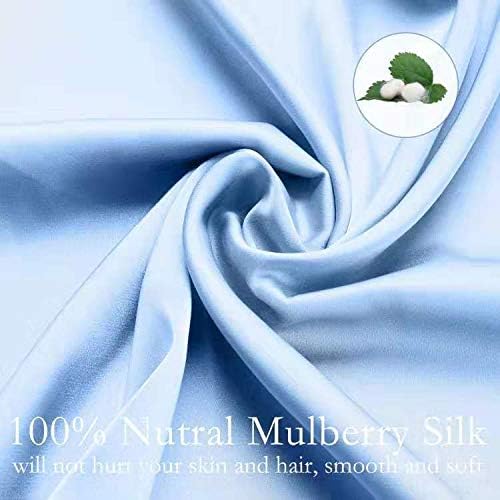 Silk Pillowcase for Hair and Skin 2 Pack 100% Mulberry Silk Bed Pillowcase Hypoallergenic Soft Breathable Both Sides Silk Pillow Case with Hidden Zipper, Pillow Cases (Queen, Blue)