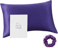 ALASKA BEAR Silk Pillowcase 100 Percent Mulberry Silk, Standard (1, Vibrant Purple)