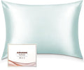 Adubor 100% Silk Pillowcase - Mulberry Silk Pillow Cases, 23 Momme 6A Grade Fibers, Silk Pillow Case for Hair and Skin Health, with Hidden Zipper (Standard 20''×26'', Light Green, 1PC)