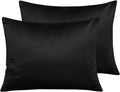 NTBAY Zippered Satin Pillow Cases for Hair and Skin, Luxury Standard Hidden Zipper Pillowcases Set of 2, 20x26 Inches, Black