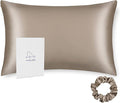 ALASKA BEAR Natural Silk Pillowcase, Hypoallergenic, 19 Momme, 600 Thread Count 100 Percent Mulberry Silk, King (1pc, Taupe Tan)