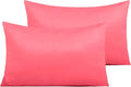 NTBAY Zippered Satin Pillow Cases for Hair and Skin, Luxury Queen Hidden Zipper Pillowcases Set of 2, 20x30 Inches, Coral Pink