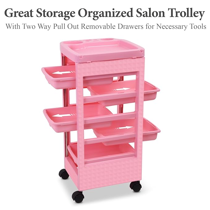 Paddie Pink Salon Trolley Cart with Wheels/5 Drawers/Dryer Holder/Tint Bowl Slot for Hair Stylist, Beauty Equipment