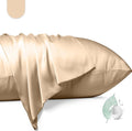 100% Mulberry Silk Pillowcase 2 Pack,Standard Size Silk Pillow Cases for Hair and Skin,Silky Smooth Bed Pillow Cover with Hidden Zipper,Natural Silk Pillow Case Set of 2 (Champagne, Standard 20X26)
