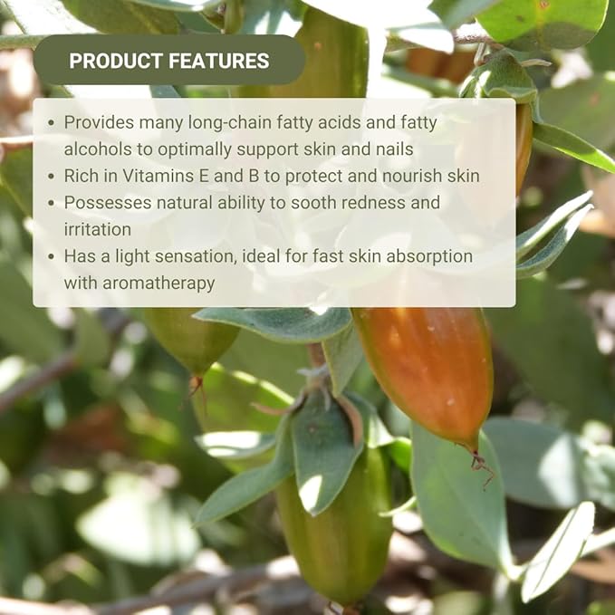 Jojoba Oil - Direct from EIR Oils' Farm in Israel - 100% Pure Carrier Oil for Hair, Face, and Skin - Hand-Picked, Cold-Pressed Carrier Oil (4 Gallons)
