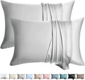 100% Silk Pillow Cases 2 Pack Queen Size Mulberry Silk Pillowcase for Hair and Skin Set of 2 Highest Grade 6A Silk Soft Breathable Cooling with Hidden Zipper, Light Grey