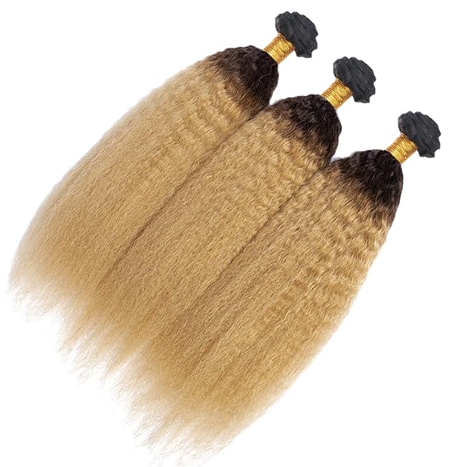 28 30 32 Inch Ombre Blonde Bundles Human Hair 1B27 Kinky Straight Bundles Niegmeag Virgin Remy Hair Extensions 2 Tone Black and Honey Blonde Yaki Bundle 150g