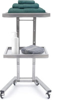 2 Tier Foldable Tray Trolley, Stainless Steel Salon Storage Metal Rolling Cart Mobile Hairdressing Tool Organizer with Wheels for Hair Salon, Studios, Spa Salons (Silver)