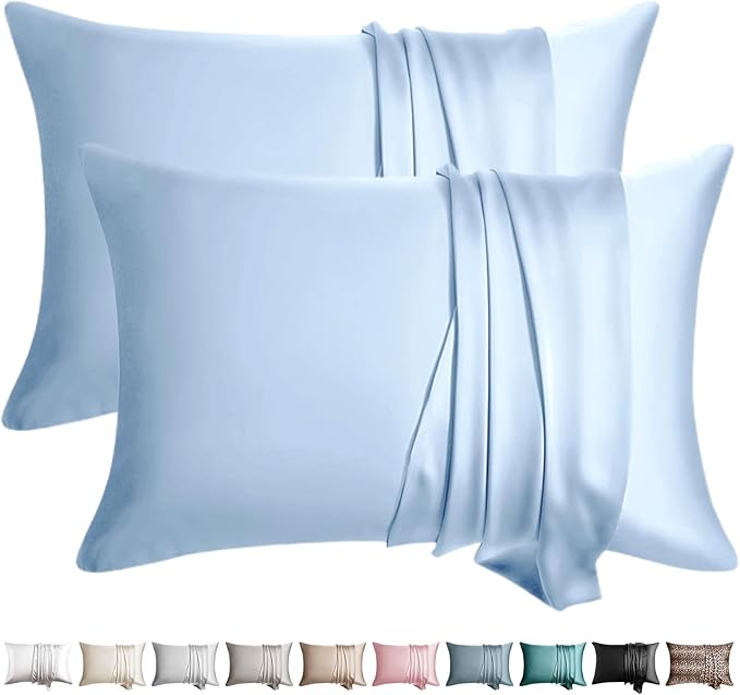 100% Silk Pillow Cases 2 Pack Standard Size Mulberry Silk Pillowcase for Hair and Skin Set of 2 Highest Grade 6A Silk Soft Breathable Cooling with Hidden Zipper, Sky Blue
