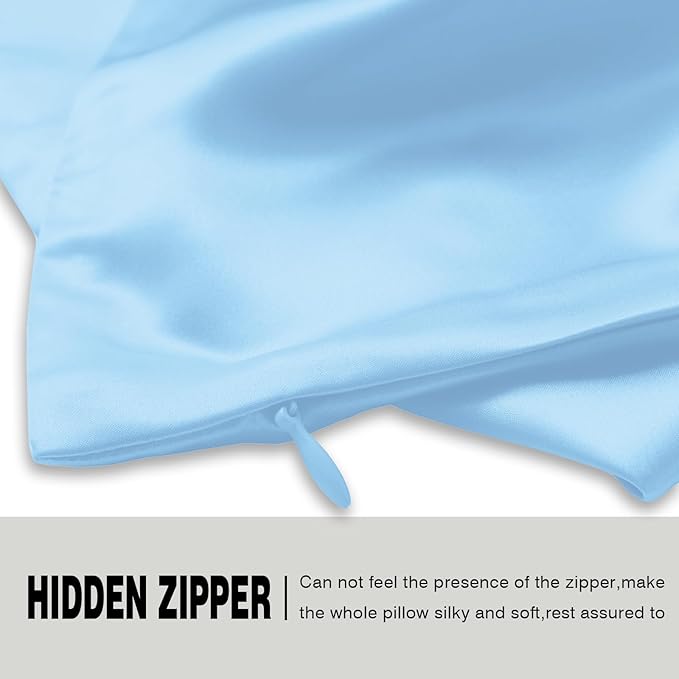 Silk Pillow Cases 2 Pack Soft Breathable and Sliky Queen Size Pillow Cases Set of 2,Natural Mulberry Satin Silk Pillowcase with Hidden Zipper for Hair and Skin (Sky Blue,20"X 30",2pcs)