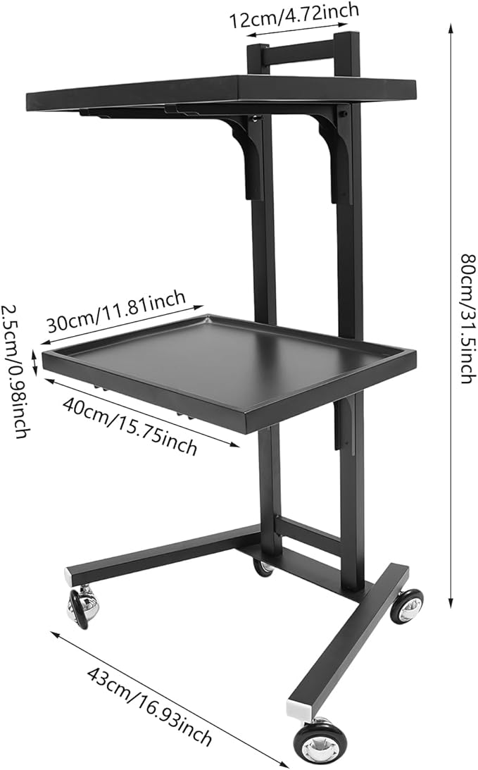 2 Tier Foldable Tray Trolley, Stainless Steel Salon Storage Metal Rolling Cart Mobile Hairdressing Tool Organizer with Wheels for Hair Salon, Studios, Spa Salons (Black)
