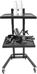 2 Tier Foldable Tray Trolley, Stainless Steel Salon Storage Metal Rolling Cart Mobile Hairdressing Tool Organizer with Wheels for Hair Salon, Studios, Spa Salons (Black)