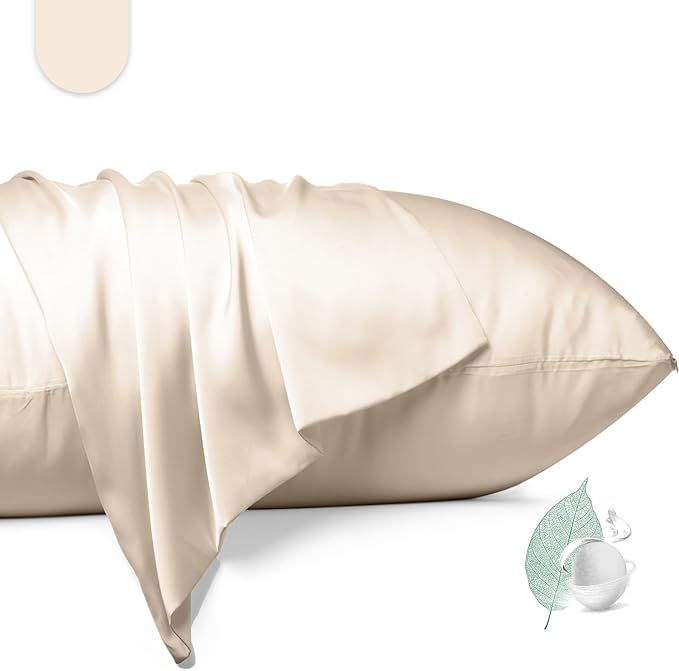 100% Mulberry Silk Pillowcase 2 Pack,Queen Size Silk Pillow Cases for Hair and Skin,Silky Smooth Bed Pillow Cover with Hidden Zipper,Natural Silk Pillow Case Set of 2 (Beige, Queen 20X30)