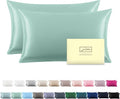 Silk Pillowcase for Hair and Skin,Soft,Breathable and Sliky Queen Silk Pillow Case Set of 2,Both Sides Natural Mulberry Silk Pillowcases with Hidden Zipper(Queen Size 20"X 30",2pcs)