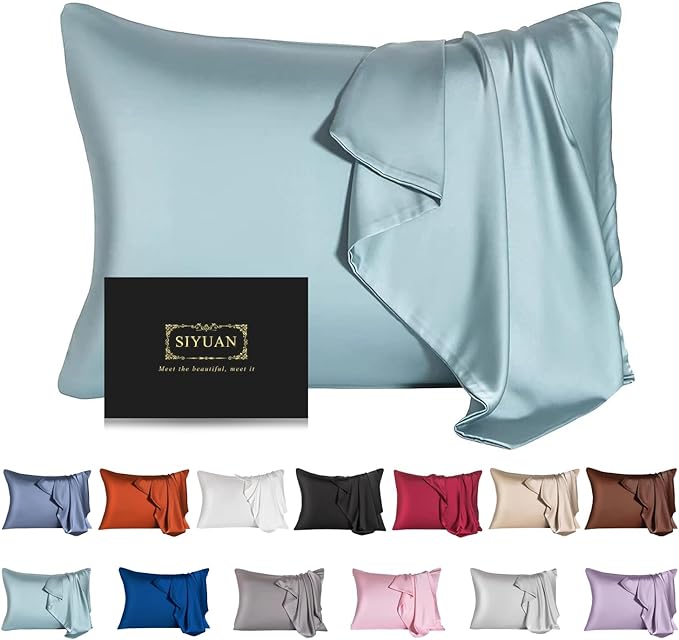 Mulberry Silk Pillowcase for Hair and Skin - Cooling Silk Pillow Case with Hidden Zipper, Allergen Proof Dual Sides Soft Breathable Smooth Silk Pillow Cover for Women (Aqua Blue)
