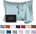 Mulberry Silk Pillowcase for Hair and Skin - Cooling Silk Pillow Case with Hidden Zipper, Allergen Proof Dual Sides Soft Breathable Smooth Silk Pillow Cover for Women (Aqua Blue)