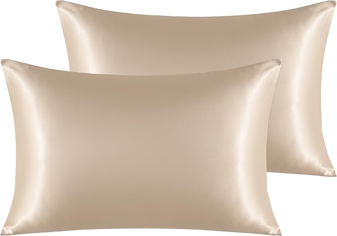 NTBAY 2 Pack Satin Queen Pillowcases for Hair and Skin, Luxurious and Silky Pillow Cases with Envelope Closure, 20x30 Inches, Taupe