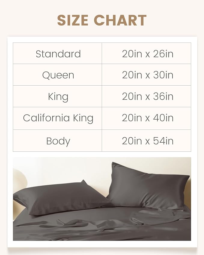 THXSILK 100% Mulberry Silk Pillowcase for Hair and Skin, Both Sides Grade 6A+ Pure Natural Silk Pillowcase, Soft Breathable Zipper Pillow Case Queen Size 20"x30", Dark Grey
