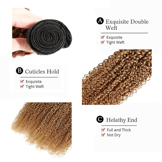 Ombre Bundles Human Hair 1B27 Kinky Curly Bundle Brazilian Virgin Remy Hair 3 Bundles 22 24 26 Inch Double Weft 2 Tone Black and Honey Blonde Kinky Curly Bundle Hair Weave 300g