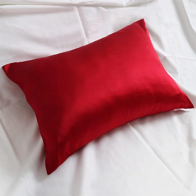 Red Silk Pillowcase for Hair and Skin Made in USA, 22 Momme Mulberry Silk Pillow Case with Zipper, 6A Grade Organic Fabric, Cooling, Anti Acne, Soft, 1 Pc 20"x30" (Queen, Red)