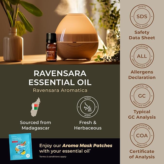 Gya Labs Ravensara Essential Oil - 0.34 Fl Oz - for Hair, Skin, Diffuser, Aromatherapy & DIY Candle Making Scent