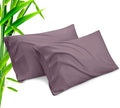 Pillow Cases Queen Size 2 Pack, Bamboo Rayon Cooling Pillowcases with Envelope Closure, Cool Breathable Pillow Case for Hot Sleepers & Night Sweats, 20x30 inches, Greish Purple