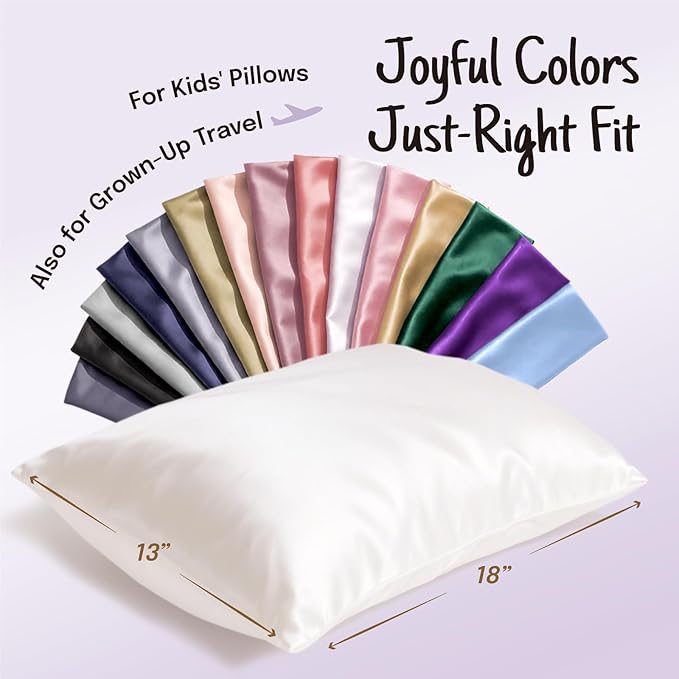 OLESILK 100% Mulberry Silk Toddler Pillowcase for Hair and Skin, Both Sides 19 Momme Pure Natural Silk Travel Pillow Cases with Hidden Zipper, 13"x 18", Iron Grey