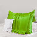 PROMEED 23 Momme Silk Pillowcase for Hair and Skin, Both Sides Upgraded Grade 6A+ Mulberry Silk Pillow Case with Zipper, Cooling Pillow Cases for Hot Sleepers (King 20"x36",Green)