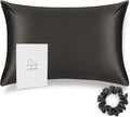 ALASKA BEAR Silk Pillowcase for Hair Care Gentle Mulberry Silk Anti Face Skin Wrinkle Pillow Slip Cover Standard Size with Concealed Zipper (1pc, Charcoal)
