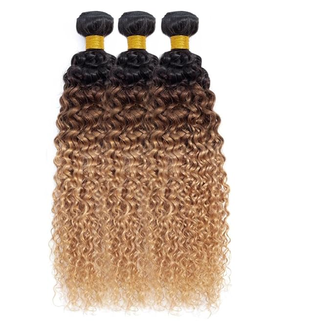 4/27 Human Hair Bundles Blonde Kinky Curly Bundles Niegmeag Hair Brazilian Grade 8A Virgin Hair Extensions 18 20 22 Inch Double Weft Real T1B/4/27 Curly Bundle 100g/Pc