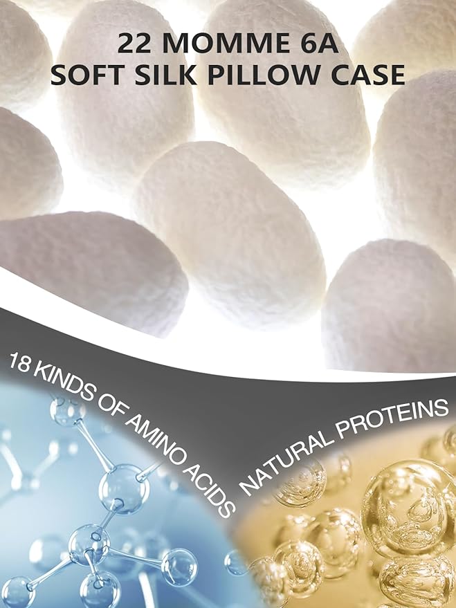 Mulberry Silk Pillowcase for Hair and Skin, SGMSILK 22 Momme Natural Silk Pillow Cases with Zipper, 6A Soft and Smooth Single Sided Pure Silk Pillow Cover (Dark Gray, Queen 20"x30")