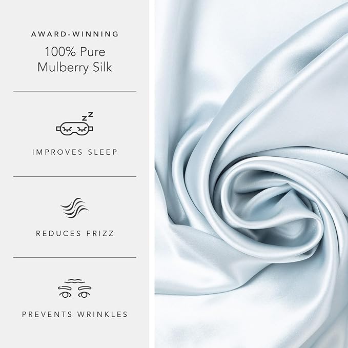 Fishers Finery 19mm 100% Pure Mulberry Silk Pillowcase, Quality Tested (Blue, K)