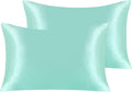 NTBAY 2 Pack Satin Queen Pillowcases for Hair and Skin, Luxurious and Silky Pillow Cases with Envelope Closure, 20x30 Inches, Light Blue