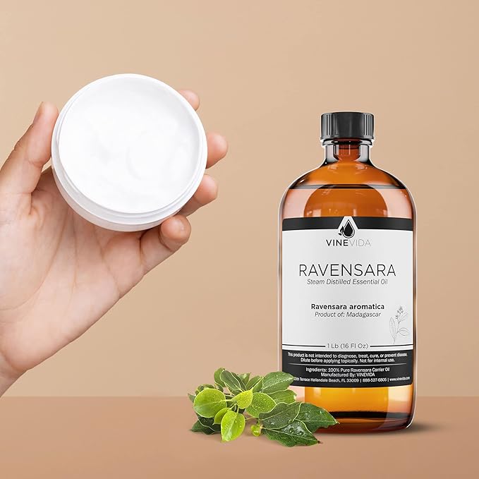 VINEVIDA Ravensara Essential Oil 16 oz - Undiluted Ravensara Oil 16 oz - Ravensara Candle Oil Scent - DIY Candle Scents for Candlemaking - Bulk Essential Oil for Soap Making Safe for Skin