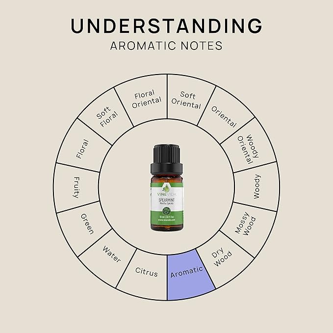 VINEVIDA Spearmint Essential Oil 10 mL - Undiluted Candle Scent DIY Scents for Candlemaking Soap Making Safe Skin,4OZV-OBP-SPR-60P-10ML