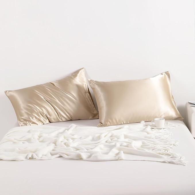 NTBAY 2 Pack Satin Queen Pillowcases for Hair and Skin, Luxurious and Silky Pillow Cases with Envelope Closure, 20x30 Inches, Taupe
