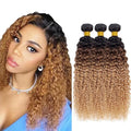 4/27 Human Hair Bundles Blonde Kinky Curly Bundles Niegmeag Hair Brazilian Grade 8A Virgin Hair Extensions 18 20 22 Inch Double Weft Real T1B/4/27 Curly Bundle 100g/Pc