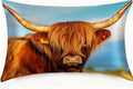 Satin Pillowcase with Zipper for Hair and Skin Farmhouse Highland Cow 1 Pack Soft Silk Pillow Case Standard Size Wrinkle-Free Smooth and Cooling Satin Pillow Cover 20”x26”