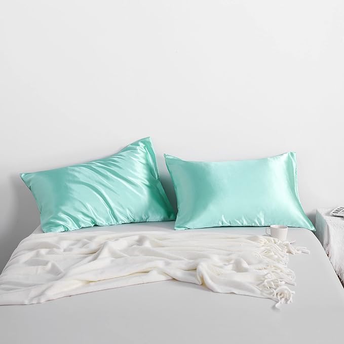 NTBAY 2 Pack Satin Queen Pillowcases for Hair and Skin, Luxurious and Silky Pillow Cases with Envelope Closure, 20x30 Inches, Light Blue