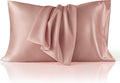 Bedsure Satin Pillowcase for Hair and Skin Queen, Similar to Silk Pillow Cases, Pillow Cases Set of 2 with Envelope Closure, College Dorm Room Decor,Rose Cloud, 20x30 Inches, 2pcs