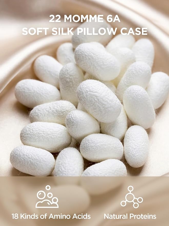 Mulberry Silk Pillowcase for Hair and Skin, SGMSILK 22 Momme Natural Silk Pillow Cases with Zipper, 6A Soft and Smooth Single Sided Pure Silk Pillow Cover (Champagne, Queen 20"x30")