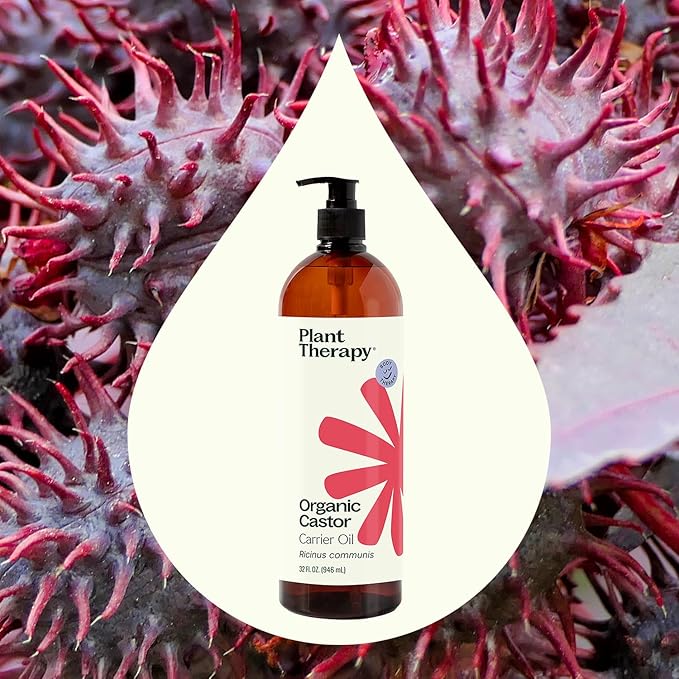 Plant Therapy Organic Castor Oil 32oz - 100% Pure & Natural Grade for Nourishing Hair and Skin Treatment - Cold Pressed - USDA Certified - Hexane Free - Stimulates Hair Growth, Treats Dry Skin
