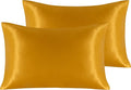 NTBAY 2 Pack Satin Queen Pillowcases for Hair and Skin, Luxurious and Silky Pillow Cases with Envelope Closure, 20x30 Inches, Golden Brown