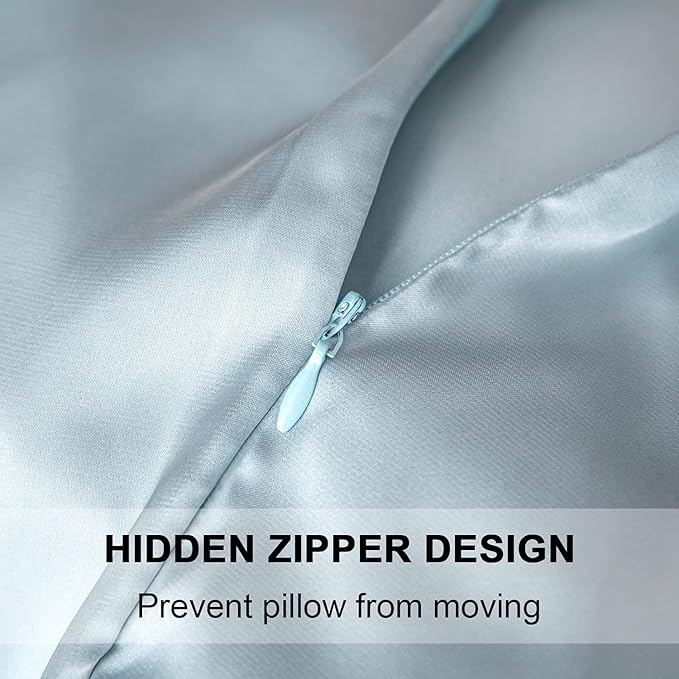 Mulberry Silk Pillowcase for Hair and Skin,Standard Size Cooling Silk Pillow Case with Hidden Zipper,Allergen Proof Dual Sides Soft Breathable Smooth Silk Pillow Cover for Women(Queen,Aqua Blue)