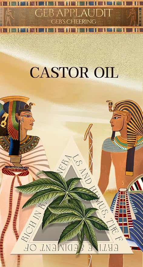 Castor Oil Scalp Rejuvenating Shampoo Deeply Cleanse Scalp Reduce Hair Loss Active Substance of Natural Keratin Repairs Hair Barrier Strengthens the Roots and Strands
