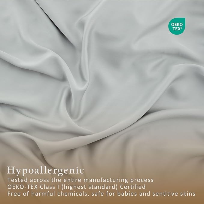 TOSMO Luxury Pillow Case Set of 2 - Cooling Viscose Derived from Bamboo, Oeko-TEX, Breathabl Silky Soft Pillow Cases with Envelope Closure (Queen, Sliver)