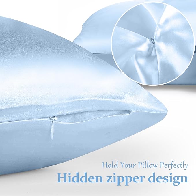 2 Pack 100% Pure Silk Pillowcase for Hair and Skin, Both Sides Mulberry Silk Pillowcases with Hidden Zipper, Cooling Pillowcase 19 Momme, 600 Thread Silk Pillow Cases Queen Size, Light Blue