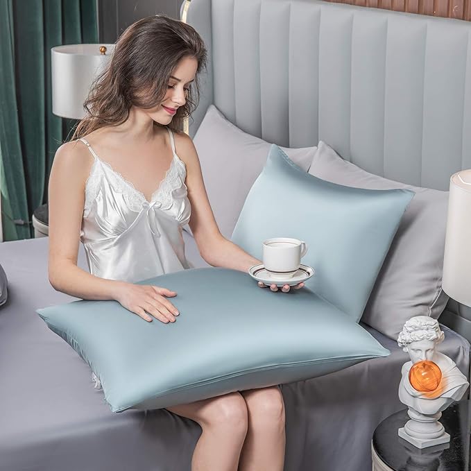 Mulberry Silk Pillowcase for Hair and Skin,Standard Size Cooling Silk Pillow Case with Hidden Zipper,Allergen Proof Dual Sides Soft Breathable Smooth Silk Pillow Cover for Women(Queen,Aqua Blue)