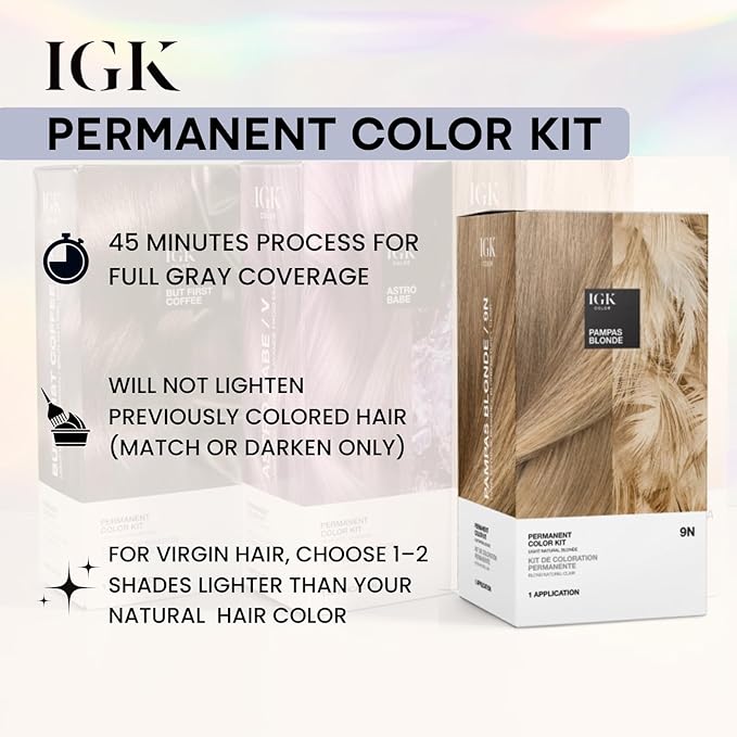 IGK Permanent Hair Dye Color Kit | 2N 00:00 - Black | 100% Gray Color Coverage | Ammonia Free